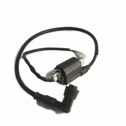 Катушка зажигания тип PH10