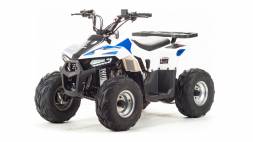 Квадроцикл Motoland Eagle 110 MSD
