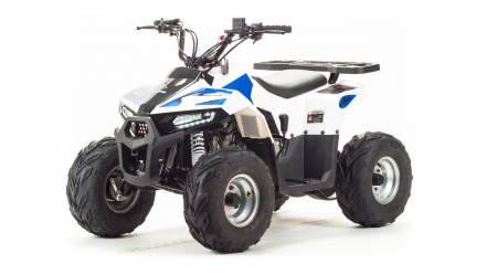 Квадроцикл Motoland Eagle 110 MSD