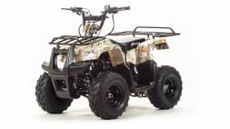Квадроцикл Motoland Rider 110 MSD