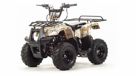 Квадроцикл Motoland Rider 110 MSD