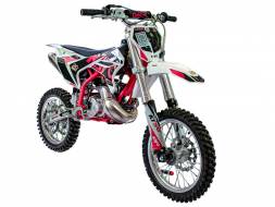 Питбайк KAYO KT50 2T 12/10 (автомат, 2023 г.), MSD