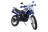 Мотоцикл Racer RC300-GY8X Panther (синий) (Россия) MSD