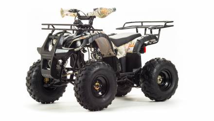 Квадроцикл Motoland Fox 125 MSD