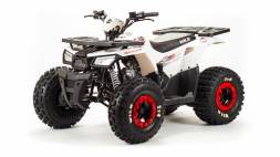 Квадроцикл Motoland Wild 125 MSD