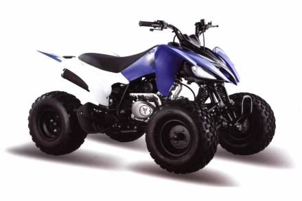 Квадроцикл Motoland 150S MSD