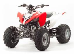 Квадроцикл Motoland 250S MSD