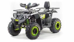 Квадроцикл Motoland 200 Wild Track MSD