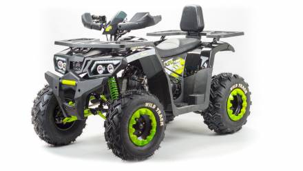 Квадроцикл Motoland 200 Wild Track MSD