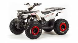 Квадроцикл Motoland150 WILD MSD
