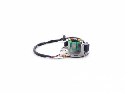 Статор генератора KAYO двиг. ZS155 см3 (P060504) CN