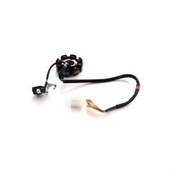 Статор генератора KAYO двиг. ZS CB250 (вод.охл.)  CN