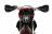 Мотоцикл Hasky F5 Racing 169FMM 250cc 2023 MSD
