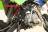 Racer RC125-PM Pitbike 17/14 MSD