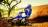 Мотоцикл кроссовый Yamaha YZ450F (2019 м.г.) MSD