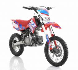 Питбайки APOLLO, 2024, RFZ START 125 E, 17/14, Красный MSD