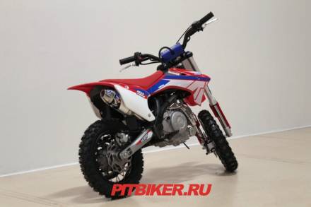 Apollo RXF 50 Mini 10/10 MSD