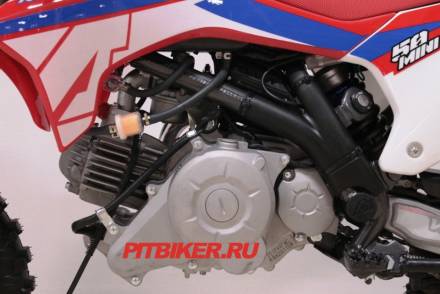 Apollo RXF 50 Mini 10/10 MSD