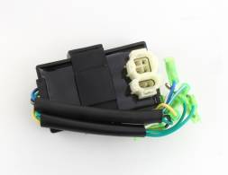 CDI YCF двиг. DAYTONA ANIMA150