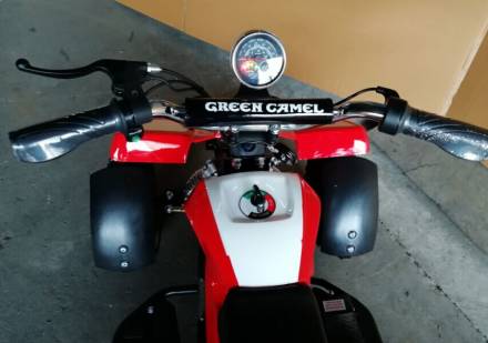 Квадроцикл GreenCamel Gobi K100 (24V 350W R4 Цепной привод) MSD