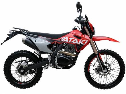 Мотоцикл ATAKI S004 300 (4T PR300) ПТС 21/18 (2024 г.) (красный) MSD