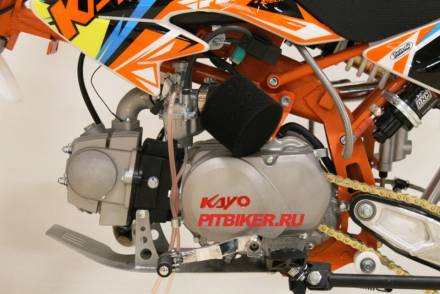KAYO GP1-MX YX110 12/10 MSD