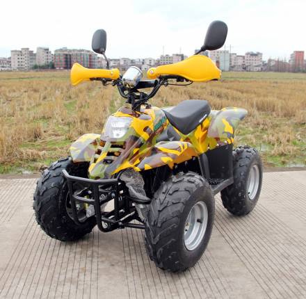 Квадроцикл GreenCamel Gobi K600 (36V 800W R7 Цепной привод) MSD