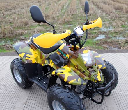 Квадроцикл GreenCamel Gobi K600 (36V 800W R7 Цепной привод) MSD