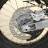 Мотоцикл Avantis A7 (CB250-F/172FMM-3A) MSD