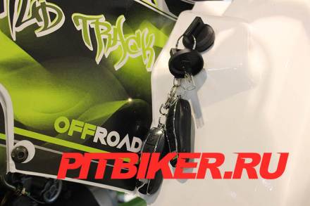Квадроцикл 200 WILD TRACK PRO MSD
