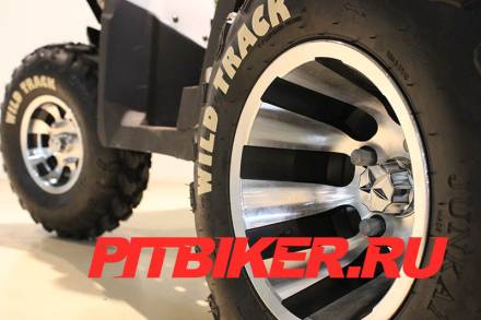 Квадроцикл 200 WILD TRACK PRO MSD