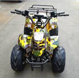 Квадроцикл GreenCamel Gobi K70 (36V 800W R7 Дифференциал) MSD