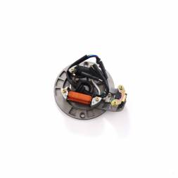 Статор генератора TTR125 (2 катушки) SM-PARTS