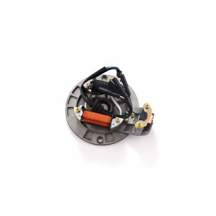 Статор генератора TTR125 (2 катушки) SM-PARTS
