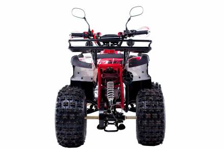 Квадроцикл WELS Thunder 125 Lux MSD