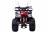 Квадроцикл WELS Thunder 125 Lux MSD