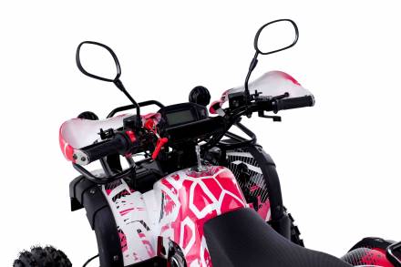 Квадроцикл WELS Thunder 125 Lux MSD