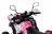 Квадроцикл WELS Thunder 125 Lux MSD