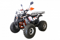Квадроцикл WELS Thunder 125 Lux MSD