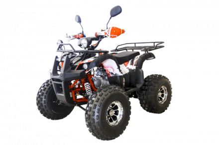 Квадроцикл WELS Thunder 125 Lux MSD