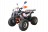 Квадроцикл WELS Thunder 125 Lux MSD