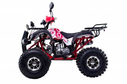 Квадроцикл WELS Thunder 125 Lux MSD