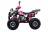 Квадроцикл WELS Thunder 125 Lux MSD