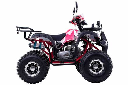 Квадроцикл WELS Thunder 125 Lux MSD