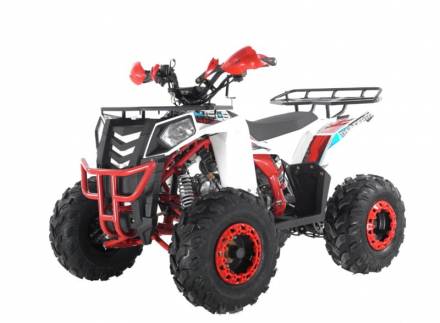 Квадрцоикл WELS Thunder EVO 2019 MSD