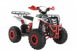 Квадрцоикл WELS Thunder EVO 2019 MSD
