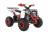 Квадрцоикл WELS Thunder EVO 2019 MSD