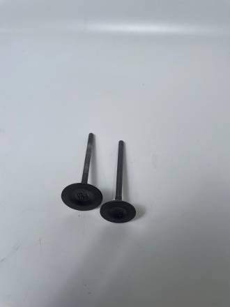 Клапаны комплект 250сс 169FMM,167FMM (впуск/выпуск)