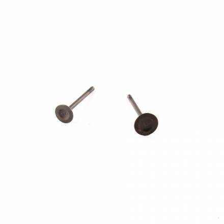 Клапаны (компл. 2шт) 4T двиг. TTR125, YX125 стандартные d=20/23  SM-PARTS
