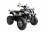 Квадрцоикл WELS Thunder 200cc LUX 2019 MSD
